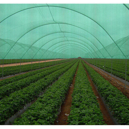 high quality agro shade nets supplier in mumbai